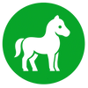 Artesanía equina artesanal
